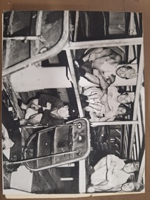 Photograph, Formosan Seaman