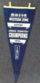 Sports pennant 1975