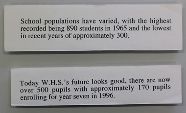 1990s school population
