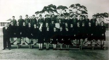 Form 3D 1959