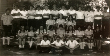 Form 3D 1972