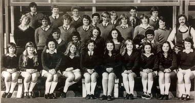 Form 3D 1973