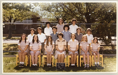 Form 1C 1977