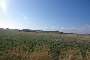 Photograph - Colour, Clare Gervasoni, Crossley near 'Hillside" McCartney's Lane, 2014, 04/04/2014
