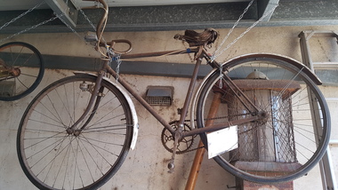 Men's Bicycle