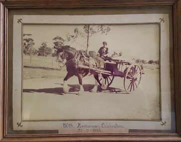 Photo - Horse & cart