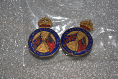 Gold badge with crown on top, blue around outside, with Union Jack and Red Ensign in the middle.  Has a horse shoe hook on back with a number.