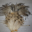 Plume comprising of 2 separate emu feathers gathered at base with glue and / or tape binding.