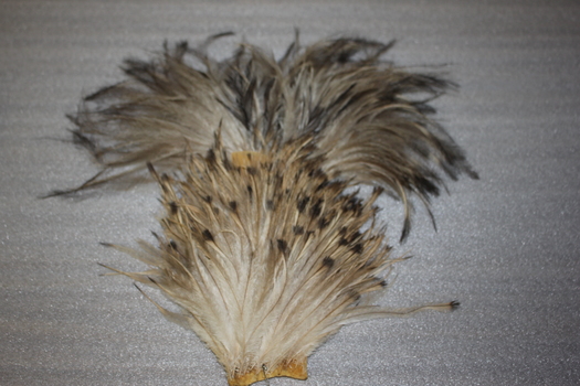 Plume comprising of 2 separate emu feathers gathered at base with glue and / or tape binding.