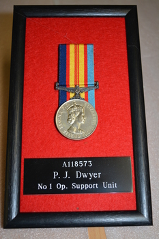 Vietnam medal and ribbon mounted on red felt in a black frame.