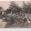 Black and white postcard of gardens with three women in background