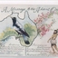Colour postcard featuring a poem, a map of Australia, a currawong or magpie, a swastika, an aboriginal man holding a boomerang or throwing stick.  