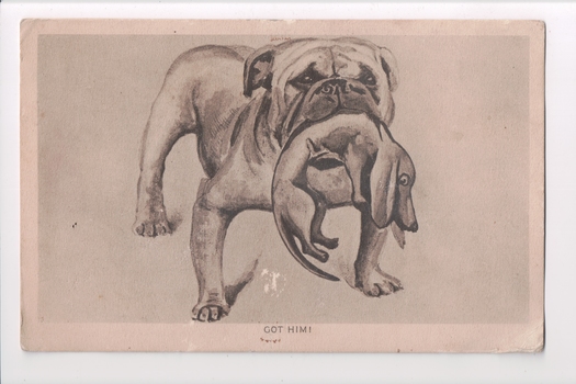 Postcard with a pencil drawing of a bulldog with a small sausage dog in its mouth. 