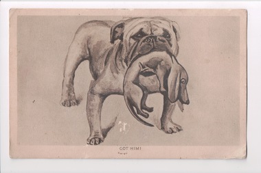 Postcard with a pencil drawing of a bulldog with a small sausage dog in its mouth. 