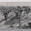 Large number of soldiers wearing tin hats constructing timber roadway