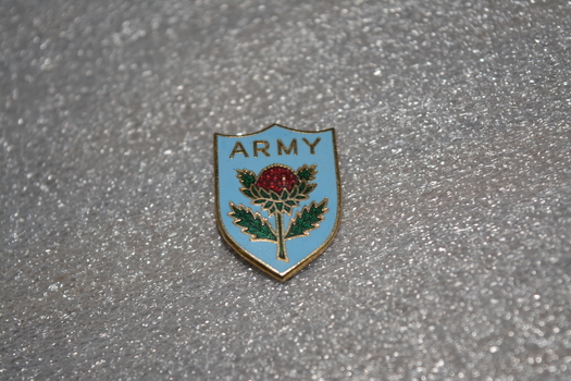 Blue enamel shield shaped badge with red and green thistle in the centre 