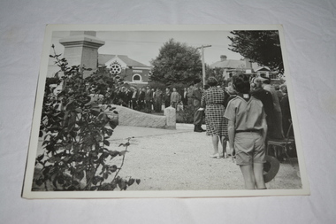 Photograph