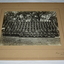 Black and white photograph mounted on light brown cardboard of large group of soldiers standing and sitting in seven rows taken outdoors under trees.