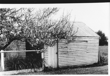 Photograph - Black and white photograph, Saddlery-Sweet Shop Lake Bolac c.1880, c1880
