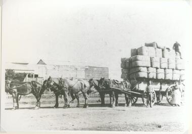 photograph, wool wagon at Pitkethly's