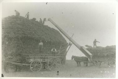 Black and white photograph, Hay stacking at O'Rorke's 1912