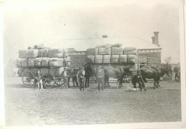 Black and white photograph, Veale Brother's Store