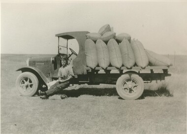 Black and white photograph, Carting Wheat at Lake Bolac