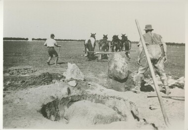 Black and white photograph, Grubbing rocks at "Boswell Park", Lake Bolac