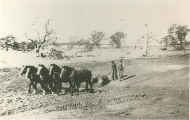 Black and white photograph, Dam digging with horse team and sledge, circa 1930