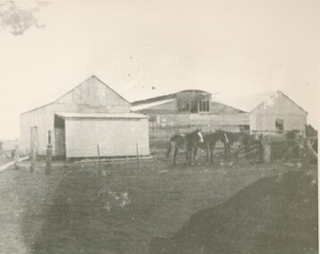Black and white photograph, Woolshed and outbuildings of "Wynawang", Wickliffe