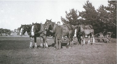 Black and white photograph, Vic Peters of Lake Bolac with Horse-team and plough