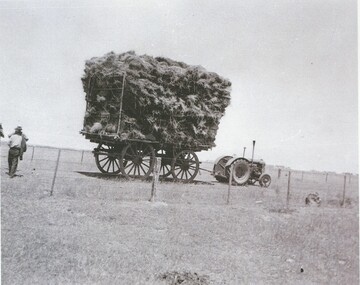 Black and white photograph, Lake Bolac, Carting hay at "Wyvern"