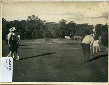 Photograph- golf