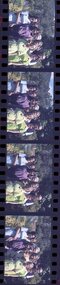 Photographic negatives - R. Owen (Jack Collection)