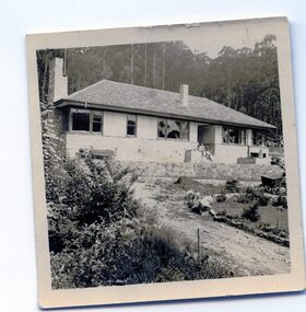 Photograph - Jack Collection