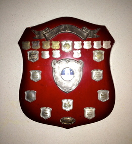 Shield, Tilbury & Lewis Pty Ltd, 1978