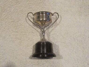 Trophy, Cup