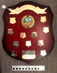 Wooden Shield, 1998