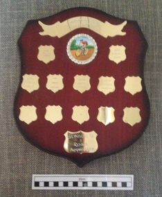 Shield, 2001