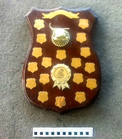 Shield, 1982