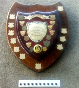 Wooden Shield, 1967
