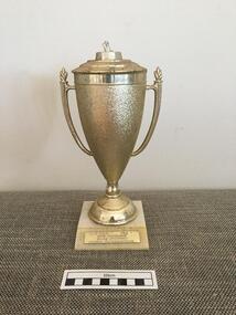 Trophy, 1984