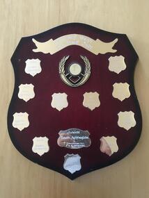 Shield