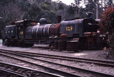 NGG16 No.129 - Garratt Steam Locomotive, 1951