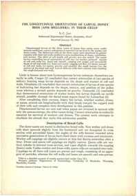 Publication, Jay, S. C, The longitudinal orientation of larval honey bees (Apis mellifera) in their cells (Jay, S. C.), Ottawa, 1963, 1963