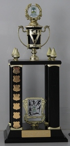 Trophy, Annual House Competition Trophy