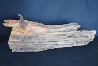 Large Timber with Iron Spike