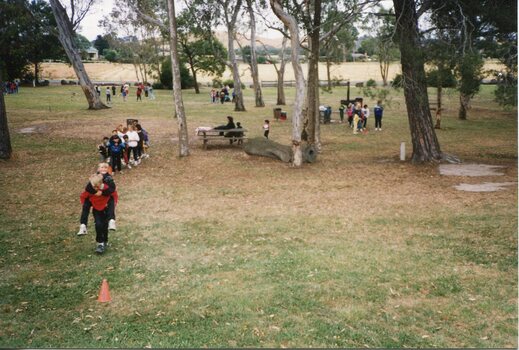 Children playing in the park, some are playing in the tree as in background
