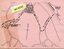 Back of a pale pink ticket featuring a printed directional access map to the Sidney Myer Music Bowl, showing surrounding streets, guided seating routes, a hand‑applied “WI‑4242” label, and visible folds, discoloration, and surface wear.