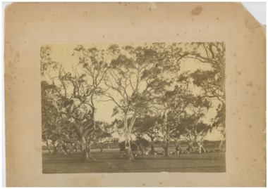 P00070 Hugh Brown's farm 1865, "Pine Vale"